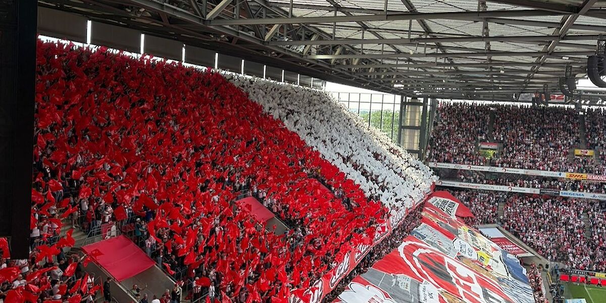1. FC Köln Heidenheim